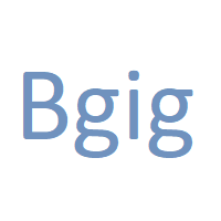 Bgig